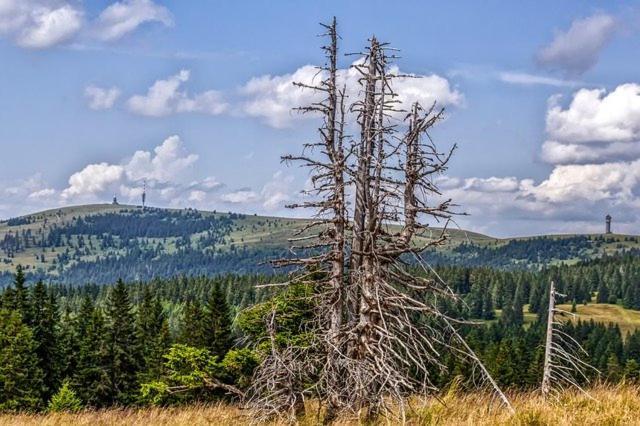 Bergsee Schluchsee Dış mekan fotoğraf